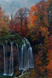 人间烟火渡余生番外