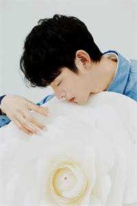 醉在春夜别于秋高口碑