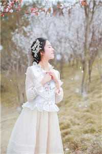 装傻充愣？我靠系统闷声发大财结局+后续