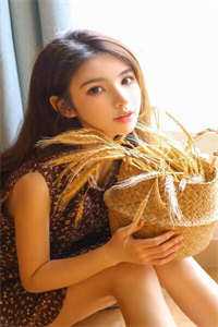 有钱没钱！回家过年！无删减全文