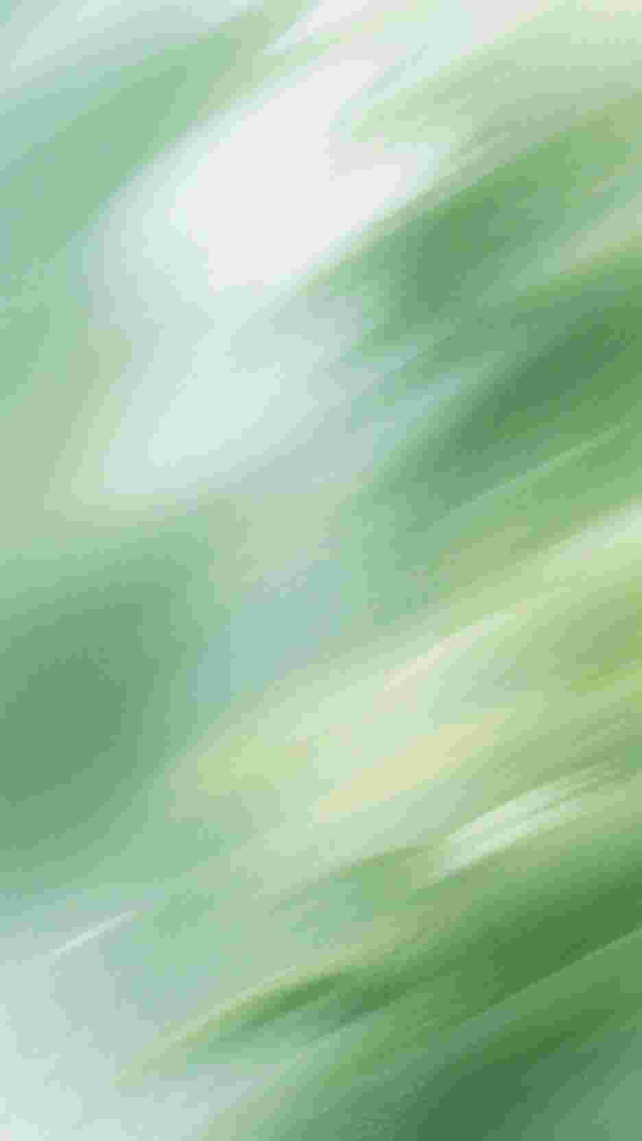 那年月色曾倾城好书