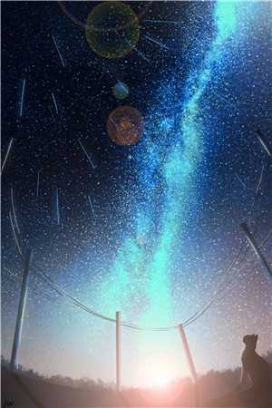 蘅华落尽归何处畅读