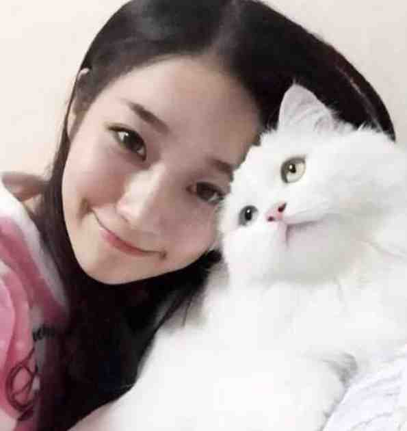 岁岁不相见完本