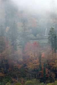 在战国当反贼结果被始皇当宝贝抢走​质量好文