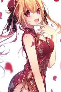 大婚前夜，嫡母交换了我和嫡姐的花轿全文免费