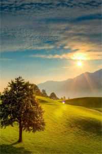 许你一场梨花落小说免费