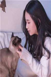 晓色将尽无彷徨试读