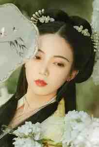 爱的锦衣不夜行最新