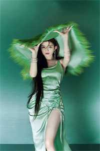 外交翻译官：我的征途是山河无恙热门小说