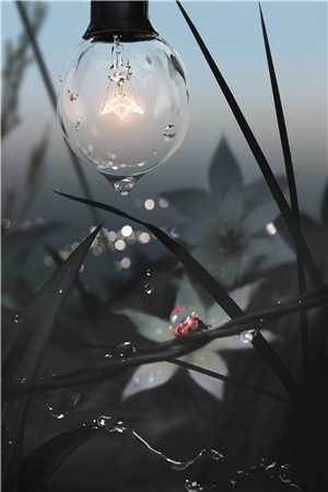 第七年春雪未至畅销巨著