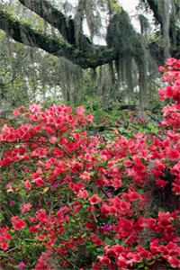 老婆多看男助理一眼，我直接离婚精彩