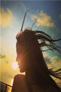 恰似霜雪遇春归后续+无弹窗