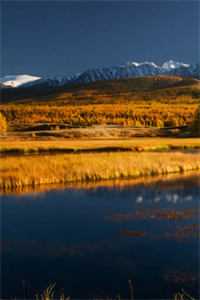 快穿：当炮灰拥有美貌后未删减版