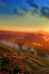 地府选人生我专挑绿帽剧本，做命里自带仆人的富贵花番外+无删减