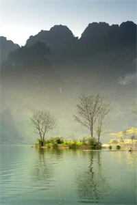 哥哥可以，为什么我不行？雪莱应寻光番外