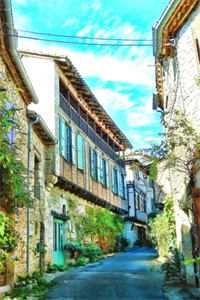 招惹，被疯批兄弟圈占了全局