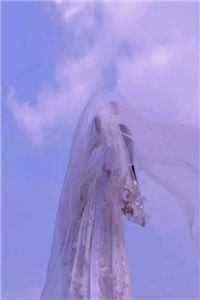 星河潋滟了夜色知乎