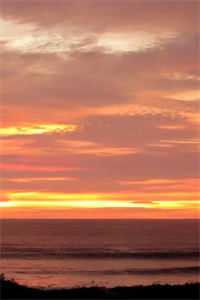 成为摄政王妃后，我的侯爷前夫悔哭了小说畅读