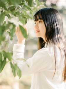 桐花零落春难辞短篇小说阅读