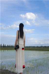 穿成恶毒女配，禁欲首长夜夜宠徐卫征唐云甄全集