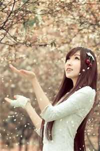 武侠：镖局要完了？我挥刀后无敌了无删减版