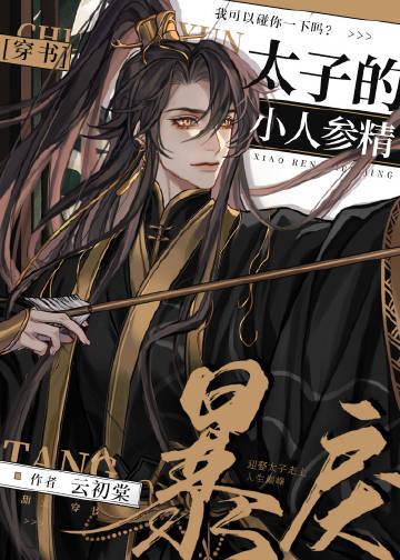 经年已过莫相扰芩妃挽月轩小说结局