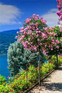 知道我的头绳几万块后，恨嫁女教官气疯了未删节