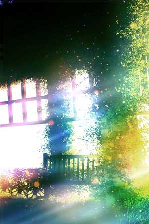 大婚前夜，嫡母交换了我和嫡姐的花轿完整阅读