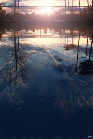 七零：逃婚后被五个糙汉捡走独宠全篇