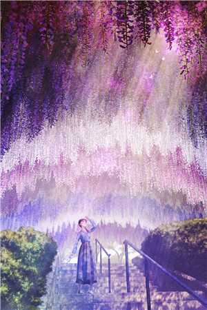 重生七零：开局举报全家去下乡小说在线阅读免费