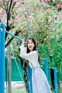 分手后，我绑定了随心所欲系统全集