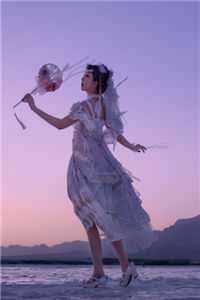 散残梦终将消散全文+免费