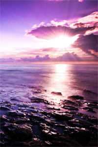 错爱十年终成殇小说免费