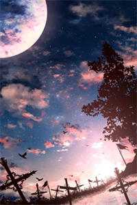 菩萨与野狗结局