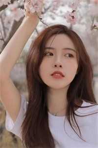 此后繁花似锦小说全文免费