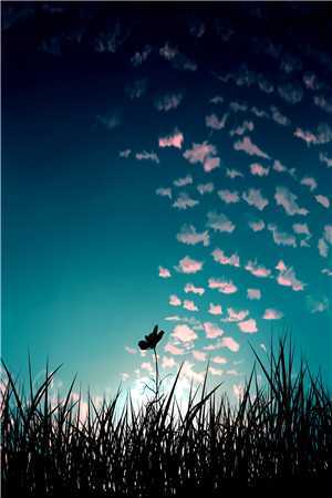 往后山河皆为你小说