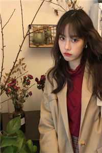 花甲激活系统，全网叫前辈目录