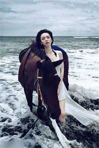 那年风月再无影全局