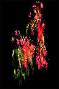 繁花一梦，爱似指间云好书