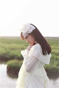 南风不度，熙年成灰热门小说