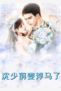 暮雪葬归途完整作品