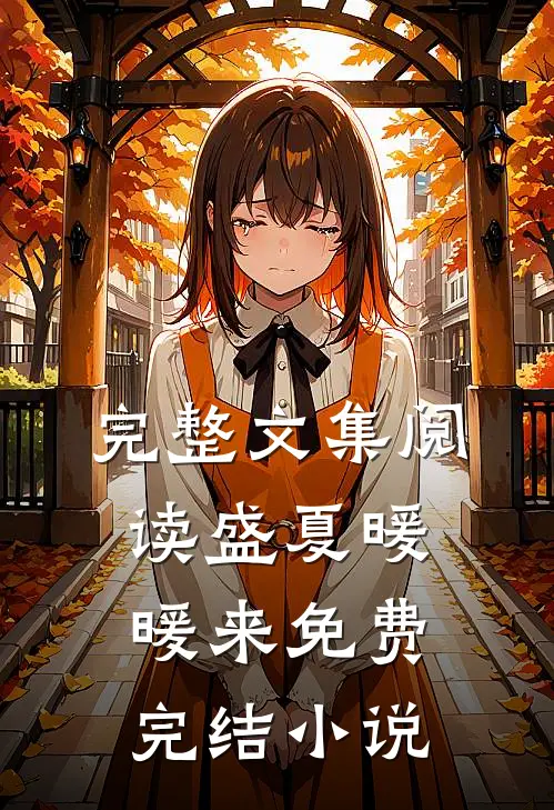 完整文集阅读盛夏暖暖来免费完结小说