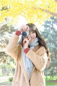 海棠花已谢，江城无故人免费阅读