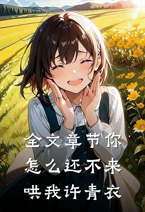 全文章节你怎么还不来哄我许青衣