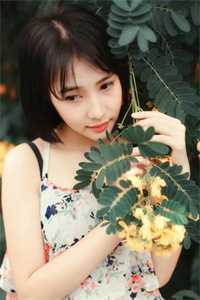 再无朝暮许欢颜全文免费阅读