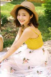 外交翻译官：我的征途是山河无恙完结文