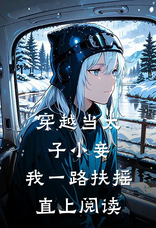 穿越当太子小妾,我一路扶摇直上阅读
