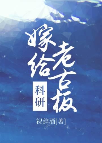 来到机娘纪元后,我杀疯了小说阅读全文版