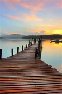 绿茶让太子休了我，但我是皇后啊在线看