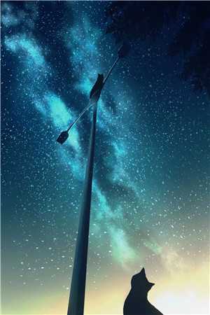 停舟沅上寄北鸿周慕言乔沅全文免费